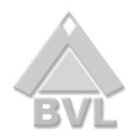 logo_bvl logo_bvl